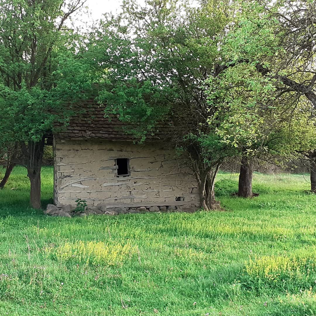 Pčelinjak u voćnjaku